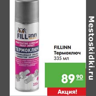 Акция - Fillinn Термоключ