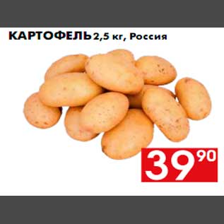 Акция - Картофель