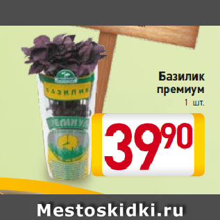 Акция - Базилик премиум