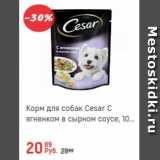 Глобус Акции - Корм для собак Cesar
