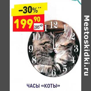 Акция - Часы "Коты"