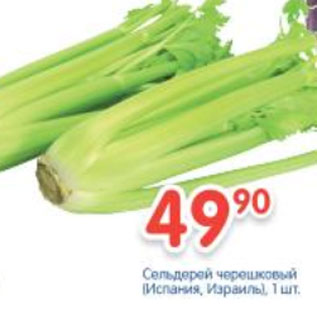 Акция - Сельдерей черешковый Испания, Израиль