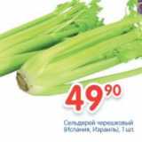 Магазин:Перекрёсток,Скидка:Сельдерей черешковый Испания, Израиль
