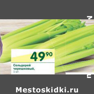Акция - Сельдерей черешковый