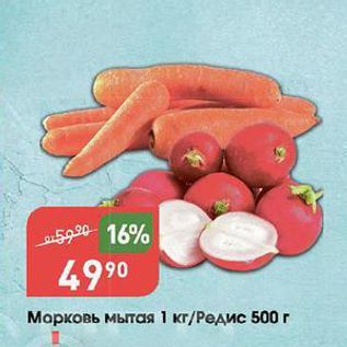 Акция - Морковь мытая 1 кг/Редис 500 г