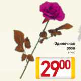 Магазин:Билла,Скидка:Одиночная
роза
атлас