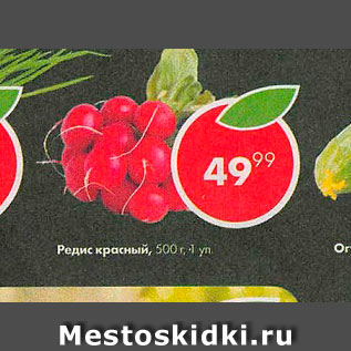 Акция - Редис красный