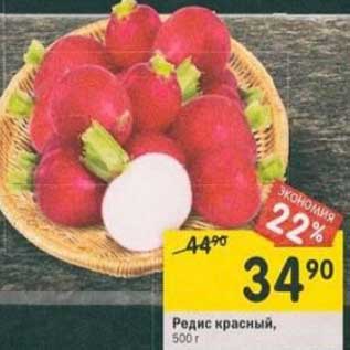 Акция - Редис красный