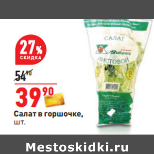 Акция - Салат в горшочке,