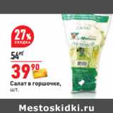 Магазин:Окей,Скидка:Салат в горшочке,