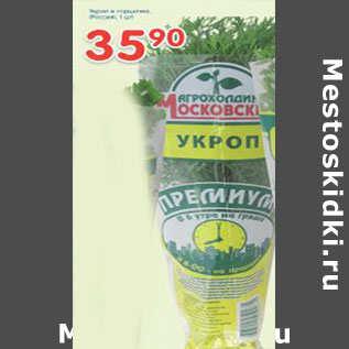 Акция - Укроп в горшочке