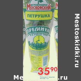 Акция - Петрушка в горшочке