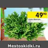 Магазин:Перекрёсток,Скидка:Салат Фриллис