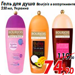 Акция - Гель для душа Bourjois в ассортименте 250 мл, Украина