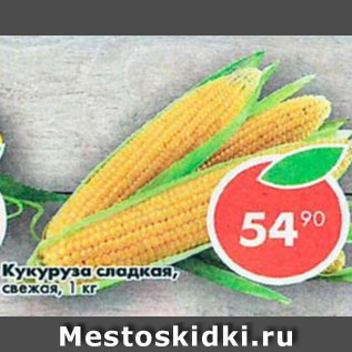 Акция - КУКУРУЗА СЛАДКАЯ
