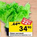 Магазин:Перекрёсток,Скидка:Салат листовой
отечественный в горшочке, 1 шт. 