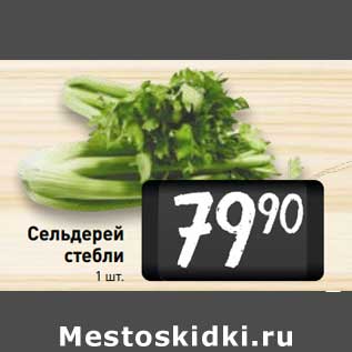 Акция - Сельдерей стебли