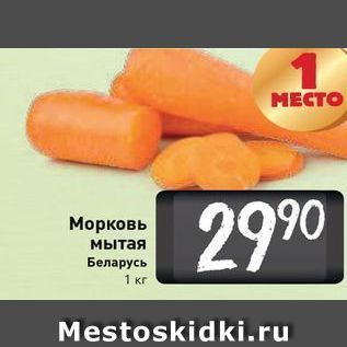 Акция - Морковь мытая Беларусь