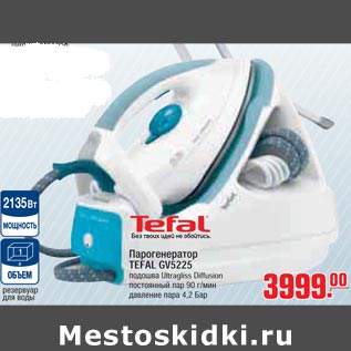 Акция - Парогенератор EFAL GV5225