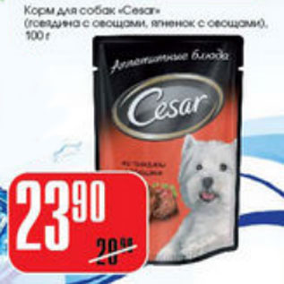 Акция - КОРМ ДЛЯ СОБАК CESAR