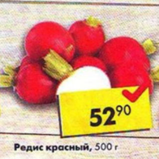 Акция - Редис красный