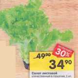 Магазин:Перекрёсток,Скидка:Салат листовой отечественный в горшочке 