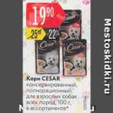 Магазин:Карусель,Скидка:Корм CESAR

консервированный, полнорационный, для взрослых собак всех пород