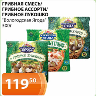 Акция - Грибная смесь/Грибное ассорти/грибное лукошко, Вологодская Ягода