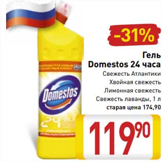 Акция - Гель Domestos 24 часа