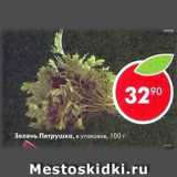 Магазин:Пятёрочка,Скидка:зелень петрушка