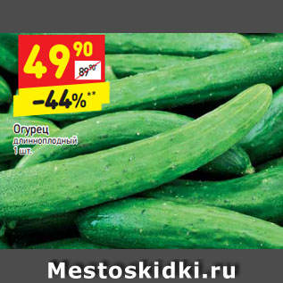 Акция - Огурец длинноплодный