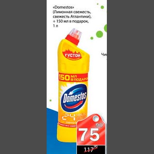 Акция - Domestos