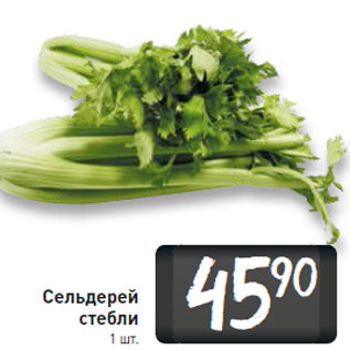 Акция - Сельдерей стебли