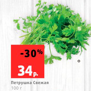 Акция - Петрушка Свежая