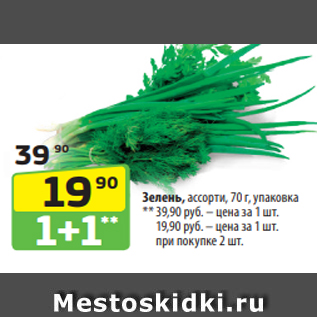 Акция - Зелень, ассорти, 70 г, упаковка ** 39,90 руб. – цена за 1 шт. 19,90 руб. – цена за 1 шт. при покупке 2 шт.