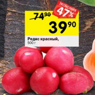 Акция - Редис красный