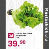 Магазин:Оливье,Скидка:Салат листовой в горшочке 