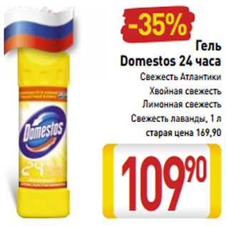 Акция - Гель Domestos 24 часа