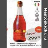 Пятёрочка Акции - Вино Lambrusco Angellca