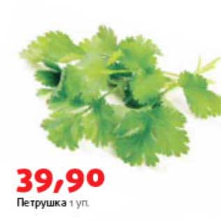 Акция - Петрушка