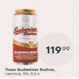 Магазин:Пятёрочка,Скидка:Пиво Budweiser Budvar 5%