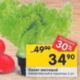 Магазин:Перекрёсток,Скидка:Салат листовой
отечественный в горшочке, 1 шт. 