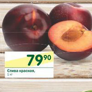 Акция - Слива красная