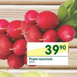 Акция - Редис красный