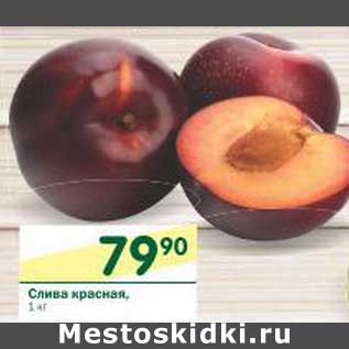 Акция - Слива красная