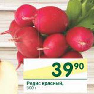 Акция - Редис красный