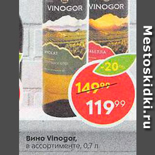 Акция - Вино Vinogor