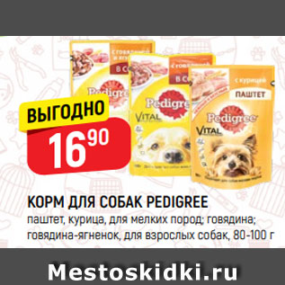 Акция - Корм для собак Pedigree