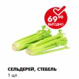 Пятёрочка Акции - Сельдерей, стебель