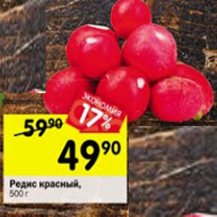 Акция - редис красный